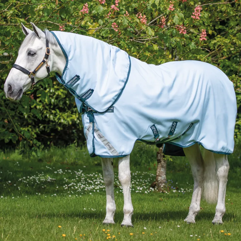 Horseware Amigo 50g Turnout Rug - Blue/Navy 